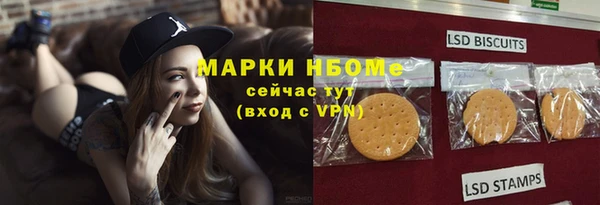 индика Ростов