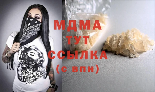 индика Ростов