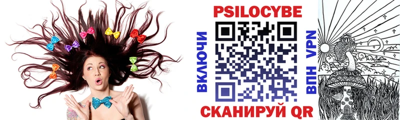кракен зеркало  Галич  Псилоцибиновые грибы прущие грибы  сколько стоит 